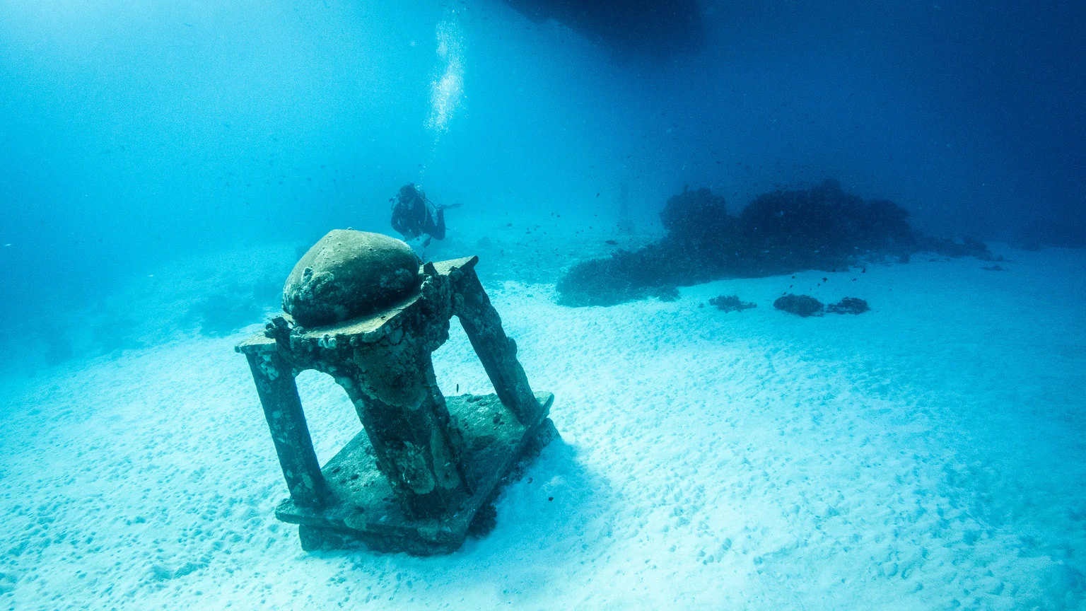 Welcome to yamadays - Tech blog featuring diving, development, and digital adventures